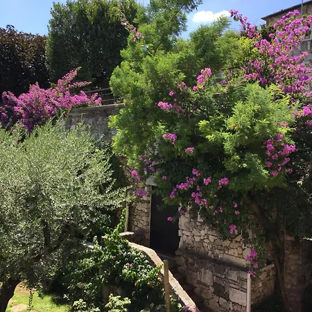 Le Finestre Sugli Ulivi Centro Storico Desenzano Apartment Desenzano del Garda